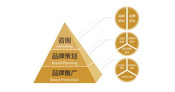 品牌營銷策劃中的常見誤區(qū)與挑戰(zhàn)